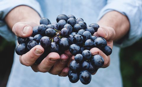 Qué hacer en la zona. Parte 2.